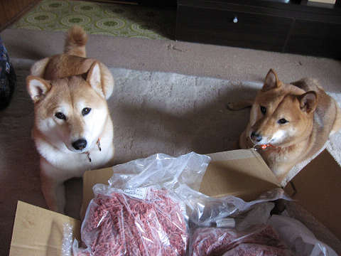 resize1081.jpg