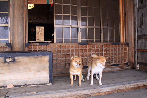 resize1084b.jpg