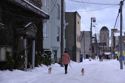 resize1088.jpg