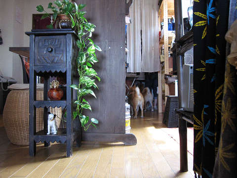 resize1269.jpg