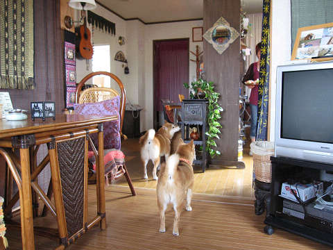 resize1271.jpg