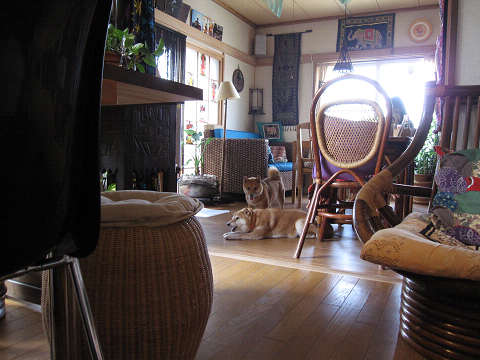 resize1273.jpg
