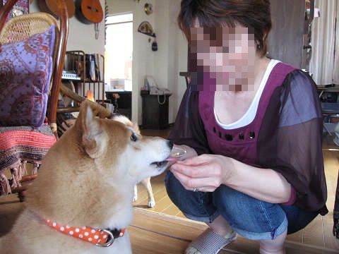 resize1275.jpg