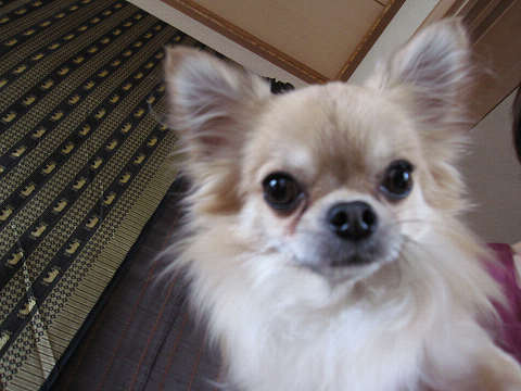 resize1282.jpg