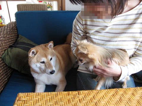 resize1284.jpg