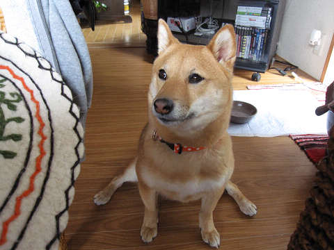 resize1286.jpg