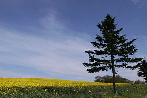 resize1469.jpg