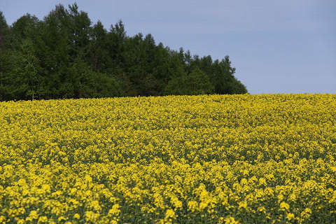 resize1470.jpg