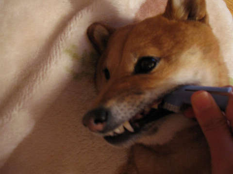 resize1510.jpg