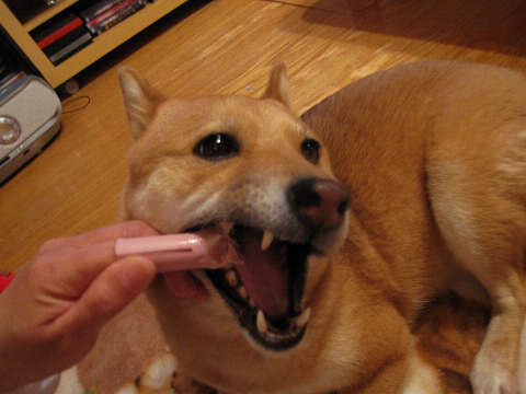 resize1511.jpg