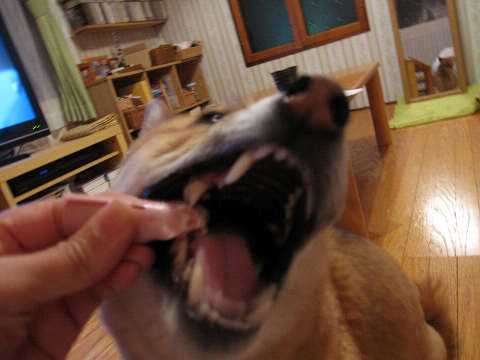 resize1513.jpg