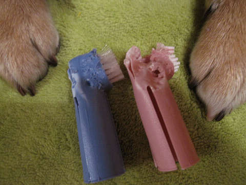 resize1514.jpg