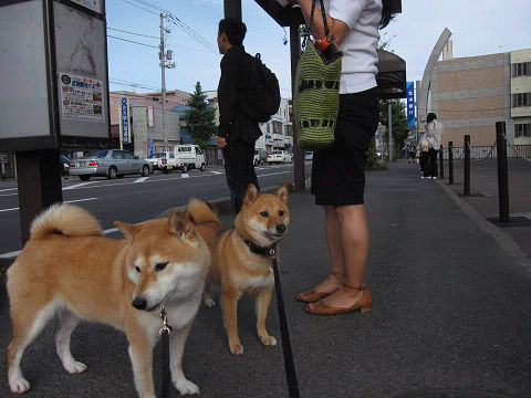 resize2209.jpg