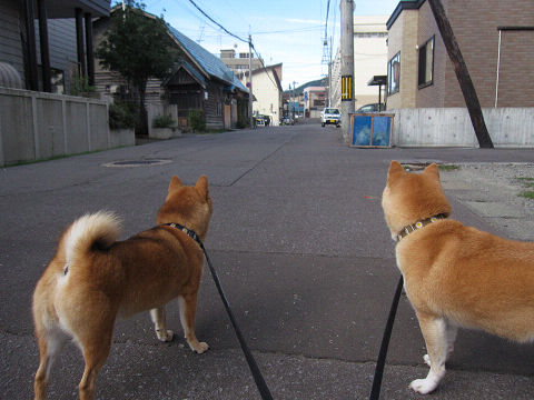 resize2212.jpg