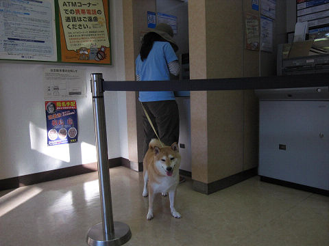 resize2214.jpg