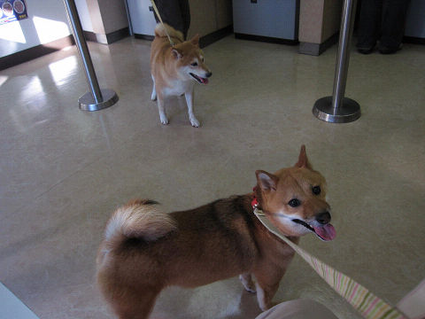 resize2215.jpg