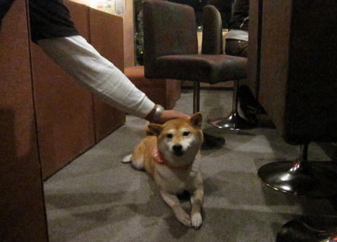 resize2266.jpg