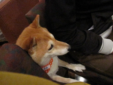 resize2273.jpg