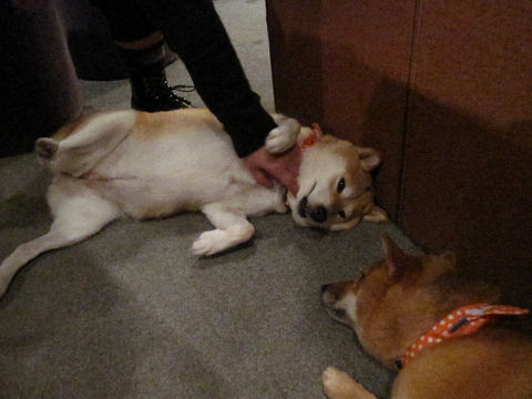 resize2276.jpg