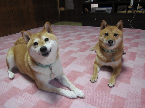 resize2388.jpg