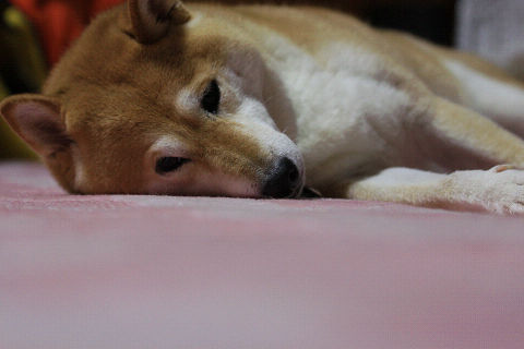 resize2396.jpg