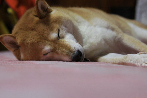 resize2397.jpg