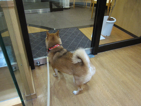 resize2454.jpg