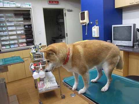 resize2456.jpg