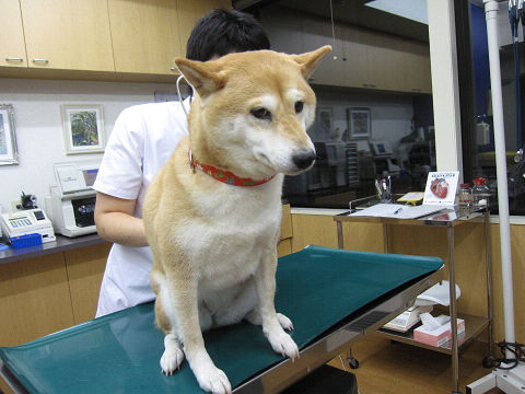 resize2457.jpg