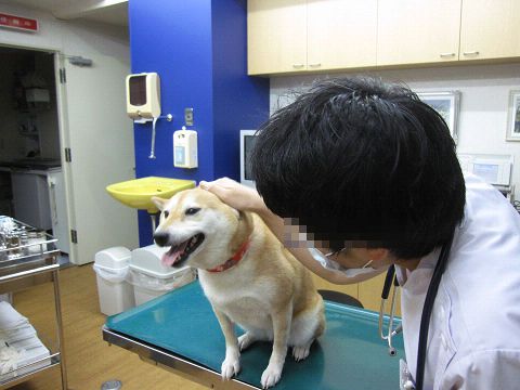 resize2458.jpg