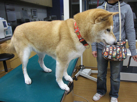 resize2459.jpg