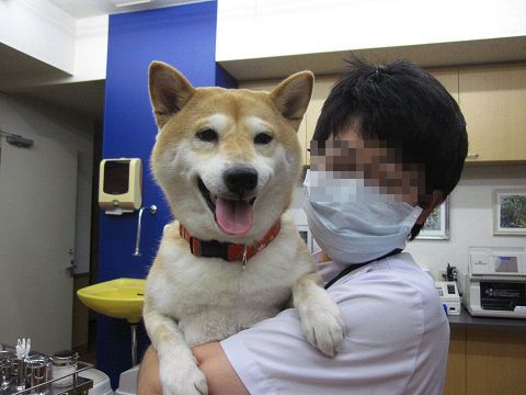 resize2461.jpg