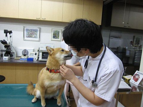 resize2463.jpg