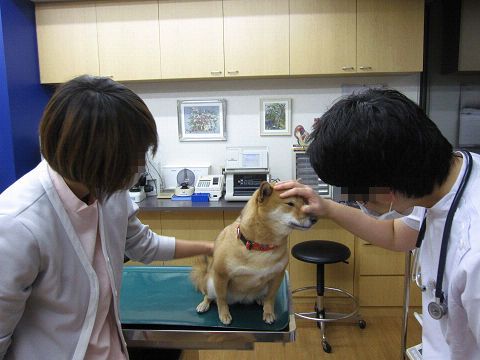 resize2465.jpg