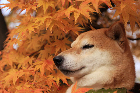 resize2467.jpg