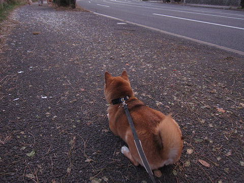 resize2490.jpg