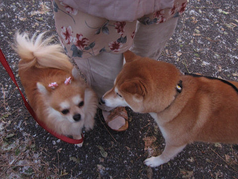 resize2492.jpg