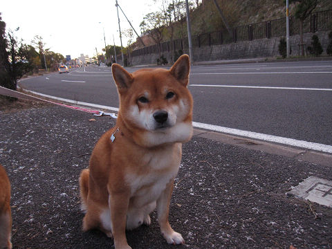 resize2493.jpg