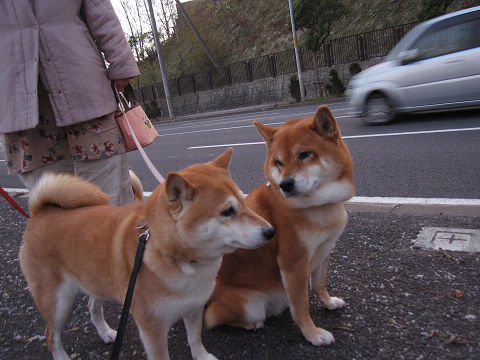 resize2495.jpg