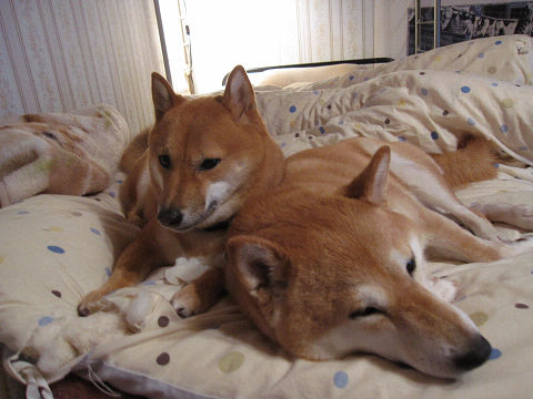 resize2504.jpg