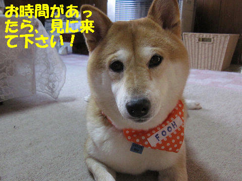 resize2509.jpg