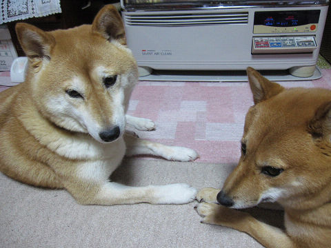 resize2549.jpg