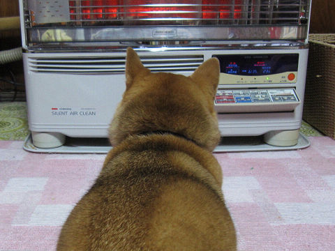 resize2551.jpg