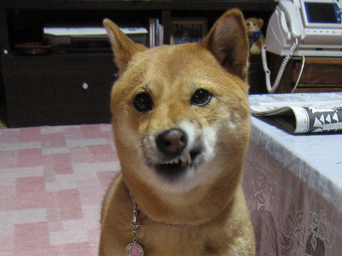 resize2679.jpg