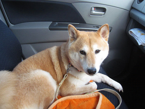 resize2760.jpg
