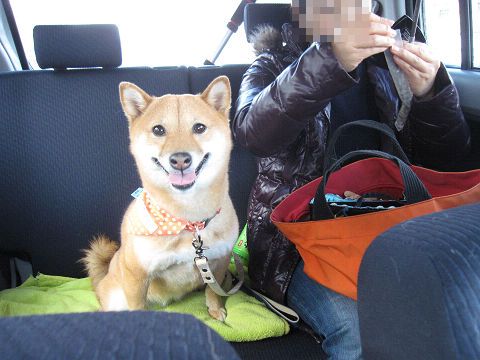 resize2761.jpg