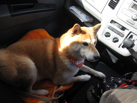 resize2764.jpg
