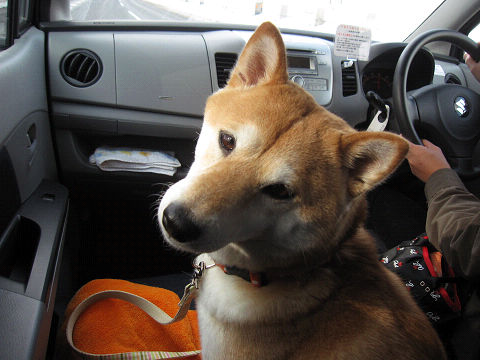 resize2765.jpg