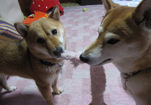 resize2794.jpg