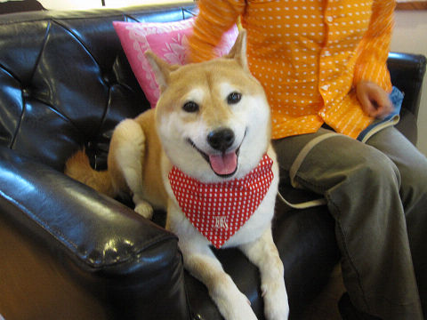resize2940.jpg